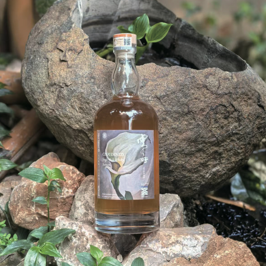 艺术家系列·霞多丽桶